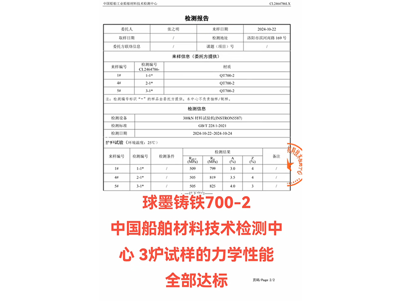 检测报告
